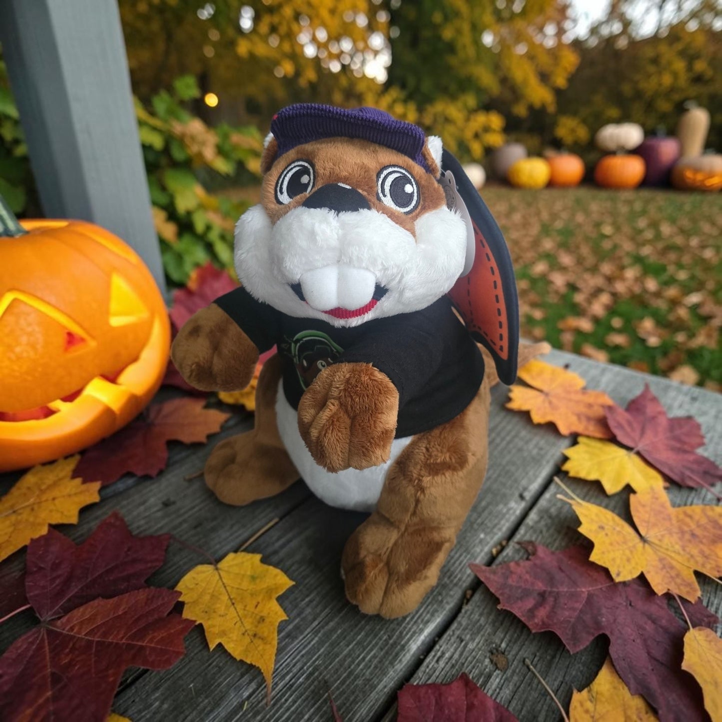 Buc-ee's Halloween Plush